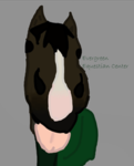 _.Evergreen Equestrian Center._
