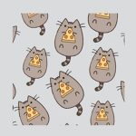 CATS234