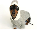 Dog clothing.