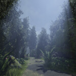 • A Walk in The Forest
