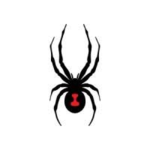 SpyderX Studios