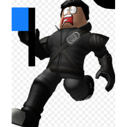 Capture the flag to win![NEW]