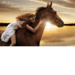 Sunset RidersYT