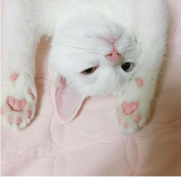 ୨୧