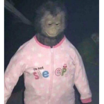 Le’Vogué