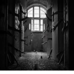 Asylum Design's