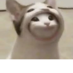 shaienaa