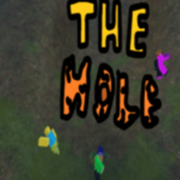 The Hole