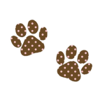 Pups Clothing Store