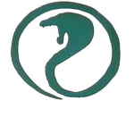 Egyptian.Cobra.Leage