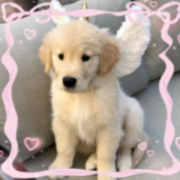 ♡