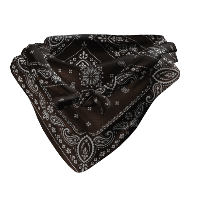 Tied Bandana Face Scarf 1.0