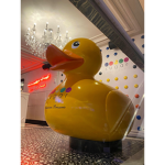 pro group of ducks