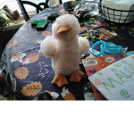 THE BEST DUCKY CLAN