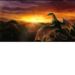 The Dragons TM