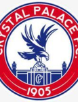 Selhurst hooligans