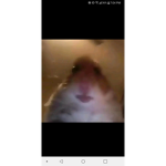 Serenitysquad12340773757