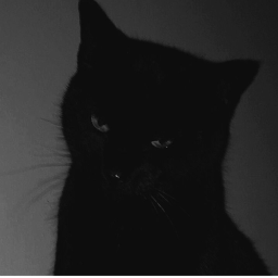 🖤