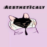 A E S T H E T I C A L Y