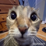 explna