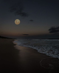 Fan moon_lune
