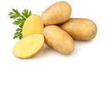 the potato plebs