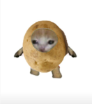 빡빡이 계란