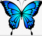 The Blue Butter flys