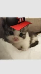 Grupo like uwu Group Thumbnail