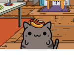 Melon_