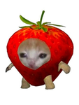 ḶöṿëĠṛöṿë Ḷöẅëḷḷ Ċïṛċüṡ :)