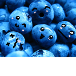 Blueberry Market
