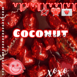 ~ ᴄᴏᴄᴏɴᴜᴛ ᴀᴘᴘᴀʀᴇʟ