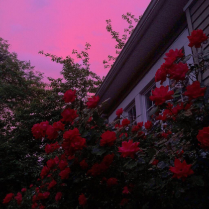 Aesthetic Roblox decal