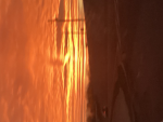 SUNSETSFANS