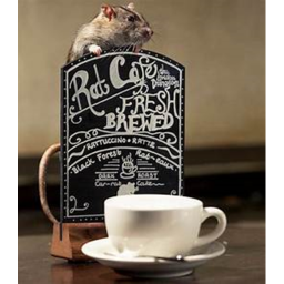 Rat Dinner