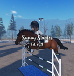 -+-Sunny Stables-+-