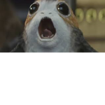 porg lives matter