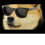 Doge bork city