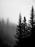 :nightfall