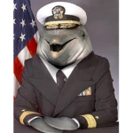 We Love Dolphin