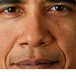 Domain of Obama