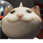 大头猫统治世界