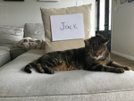 Player tinyjack3333