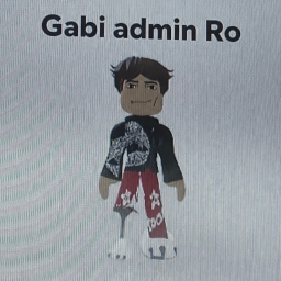 Aris admin romania