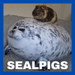 Sealpigs