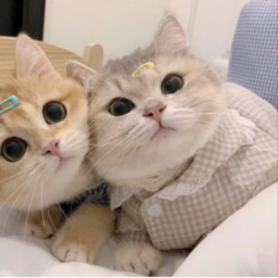 ♡