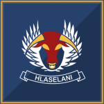 [RSA] 16 Squadron