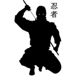BATTLE OF THE NINJA