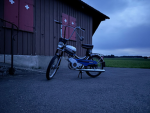 Hasen pro